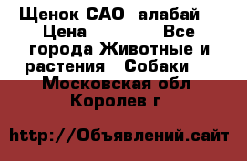 Щенок САО (алабай) › Цена ­ 10 000 - Все города Животные и растения » Собаки   . Московская обл.,Королев г.